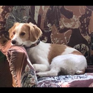 Meet your Posher, Katherine